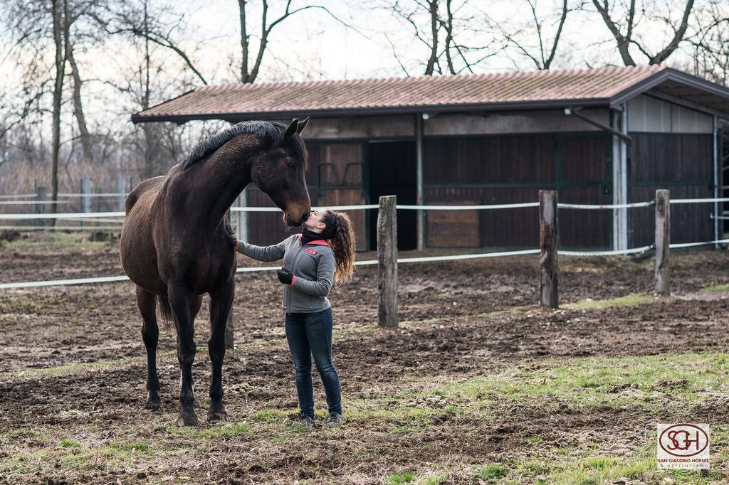 آرلونو San Giacomo Horses & Agriturismo المظهر الخارجي الصورة