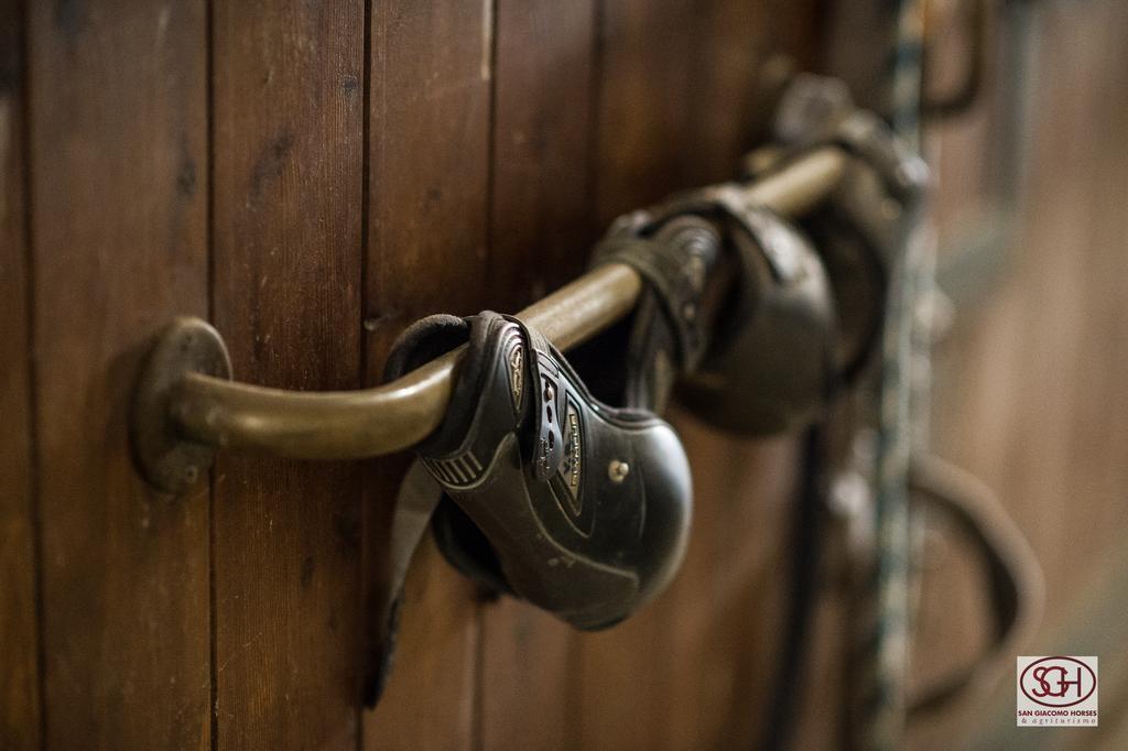 آرلونو San Giacomo Horses & Agriturismo المظهر الخارجي الصورة