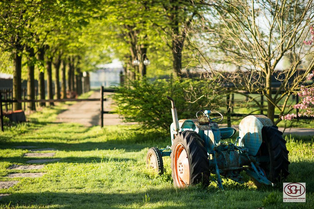 آرلونو San Giacomo Horses & Agriturismo المظهر الخارجي الصورة
