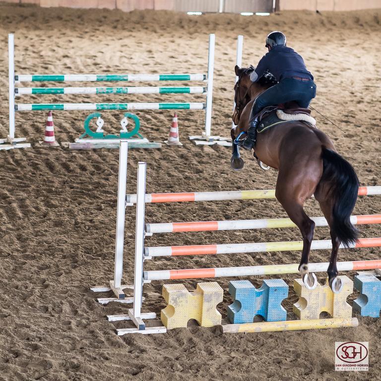 آرلونو San Giacomo Horses & Agriturismo المظهر الخارجي الصورة