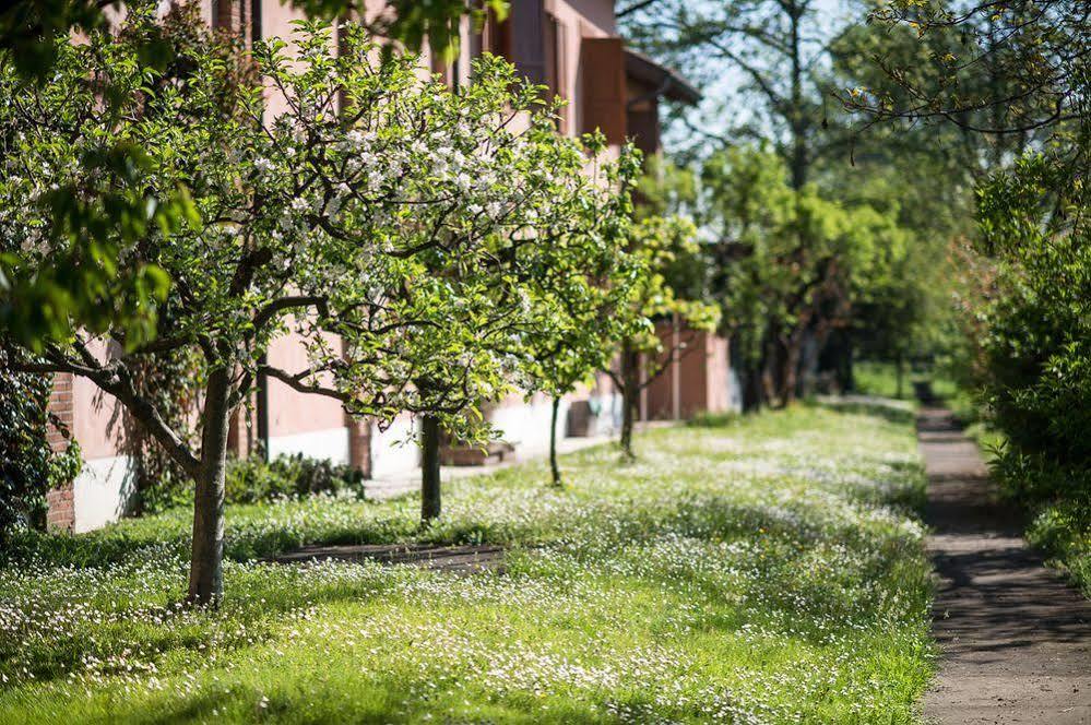 آرلونو San Giacomo Horses & Agriturismo المظهر الخارجي الصورة