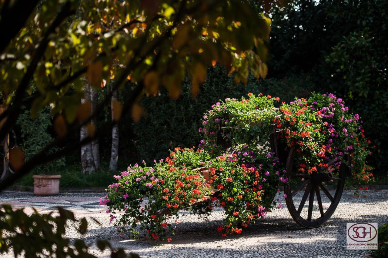 آرلونو San Giacomo Horses & Agriturismo المظهر الخارجي الصورة